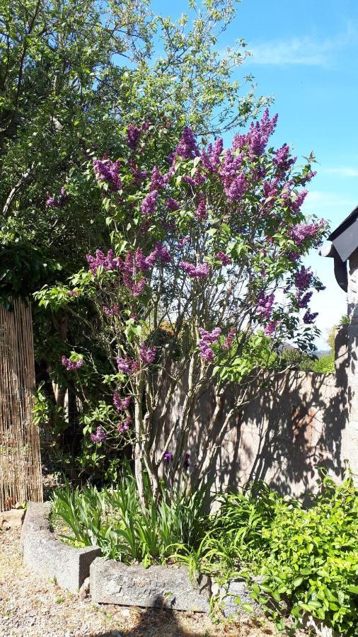 Cote De Granit Rose Villa Pleumeur-Bodou Exterior foto