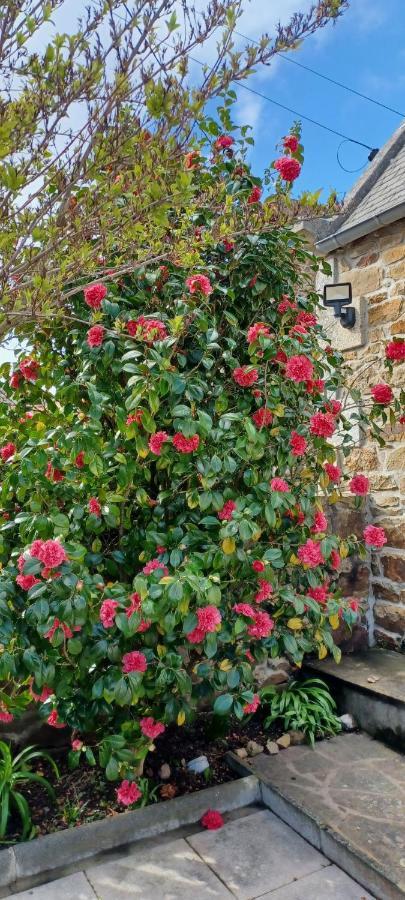Cote De Granit Rose Villa Pleumeur-Bodou Exterior foto